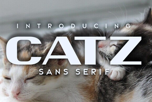 Catz: The Sans Serif Font for Modern Brands
