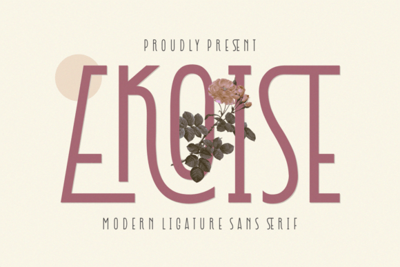 Ekoise: A Modern Sans Serif Font for Makers