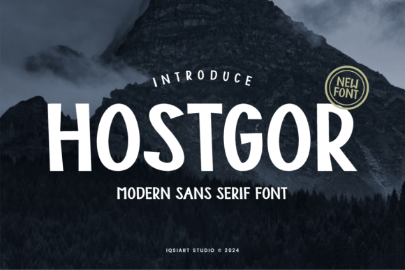 Hostgor: A Modern Sans Serif Font for Branding